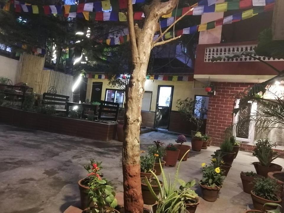 Nirvana Green Peace Home Katmandou Extérieur photo
