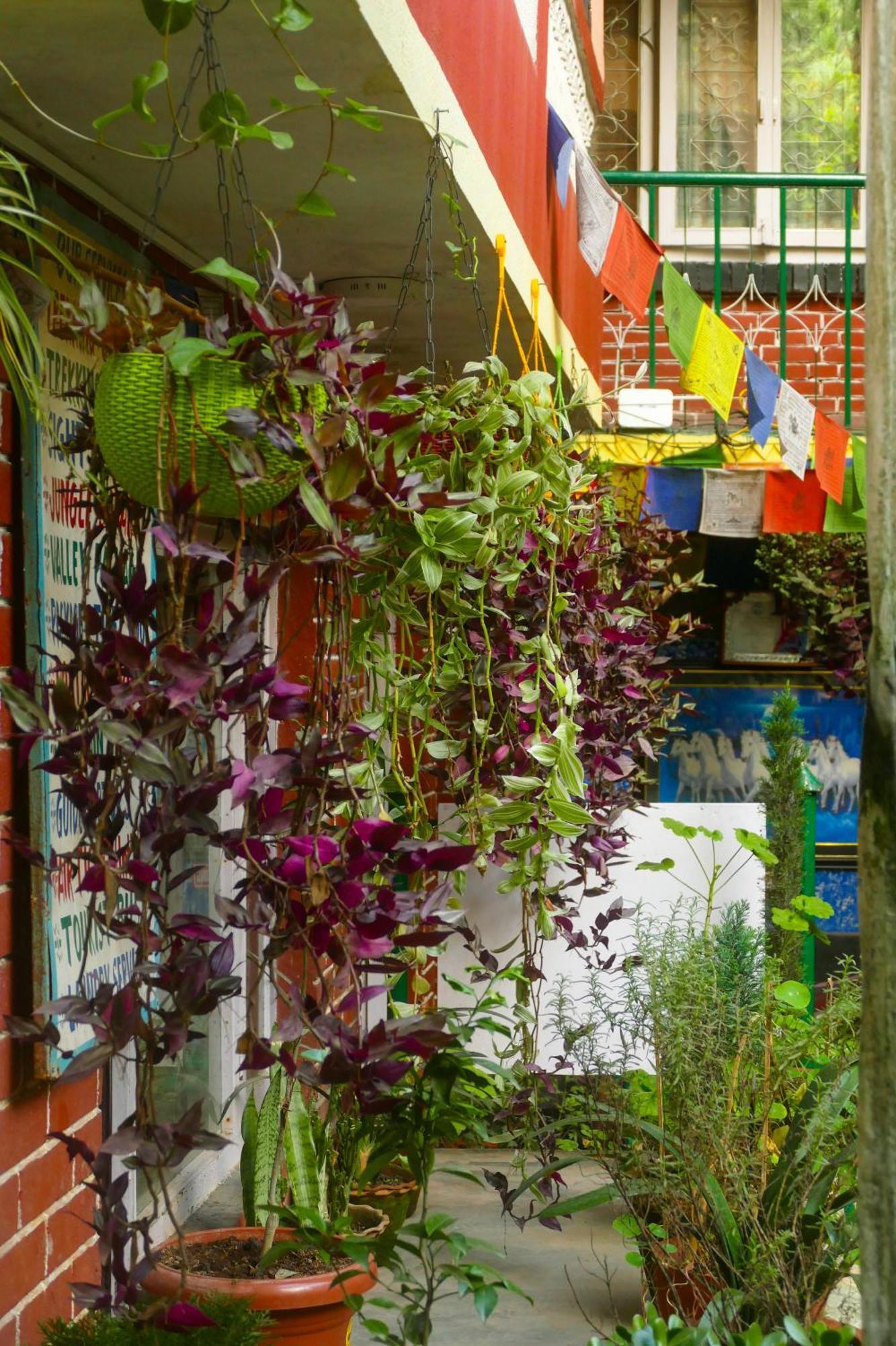 Nirvana Green Peace Home Katmandou Extérieur photo
