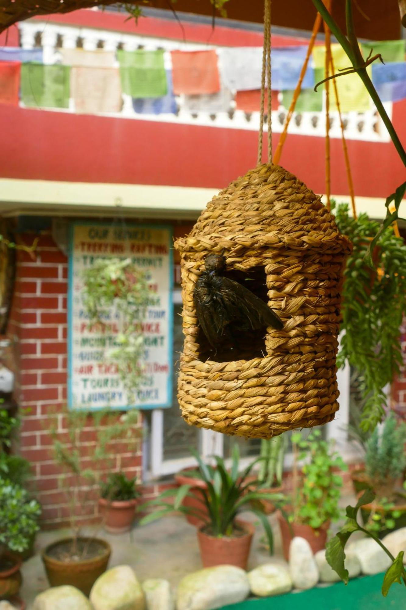 Nirvana Green Peace Home Katmandou Extérieur photo